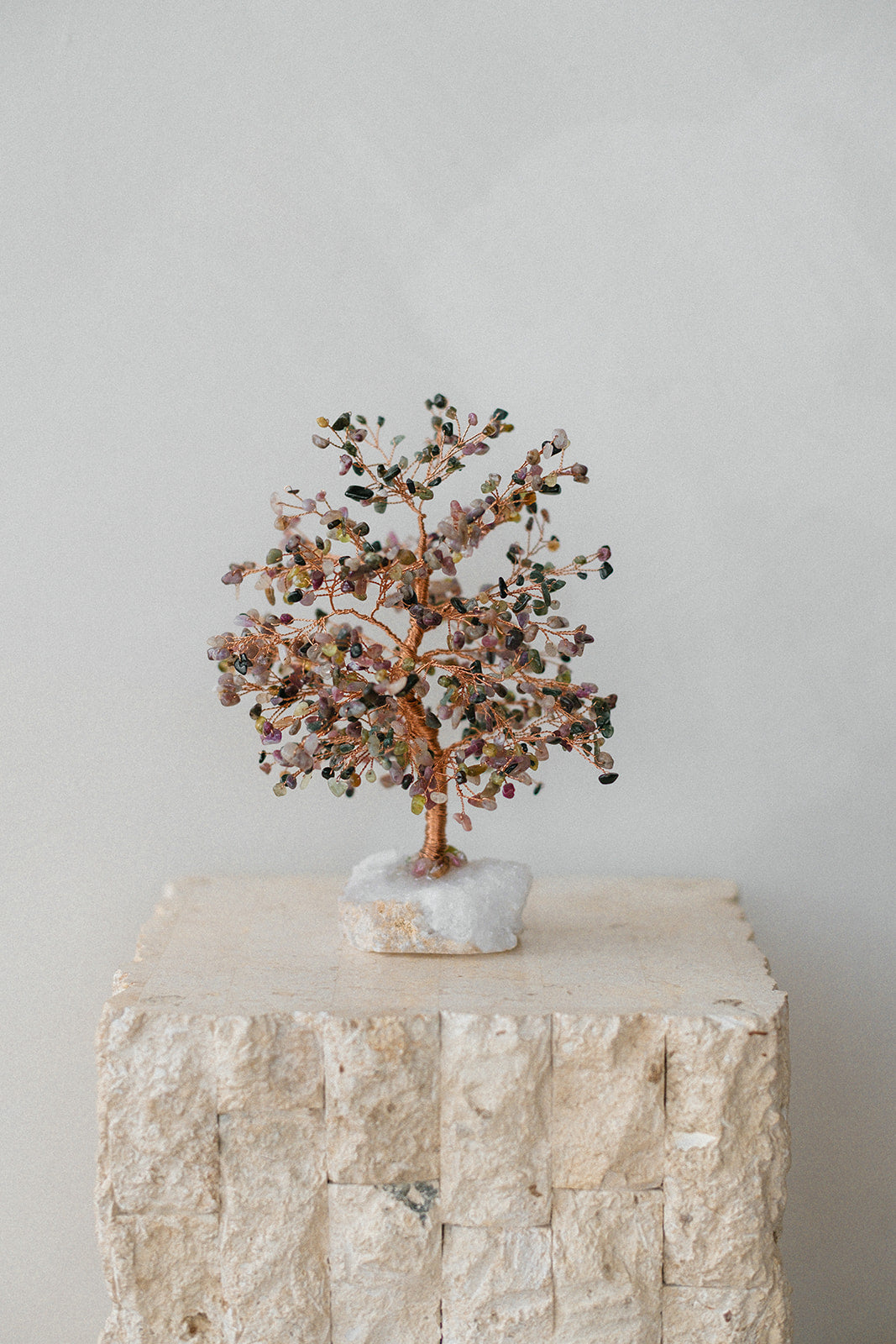 Abundance | Різнокольорове Феншуй Дерево